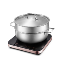 苏泊尔电磁炉C21-IC20