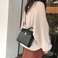 韩国ins冬单品百搭新款纯色气质休闲手提包单肩斜跨包两背带包女