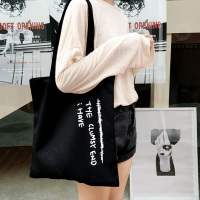 学生帆布包女单肩韩国简约百搭手提包ulzzang日系原宿风校园韩版