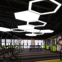 邦可臣六边形吊灯led造型灯创意蜂巢办公室网咖健身房六角形工业风灯具