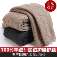 免费试穿 牧绒多斯产驼绒棉裤男女春秋装加绒加厚羊毛裤中老年人高腰打底裤2024冬装新款羊毛保暖裤男大码内穿毛裤加绒裤