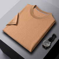 专柜高品质精纺桑蚕丝圆领短袖T恤 夏装中年男士休闲纯色莱赛尔