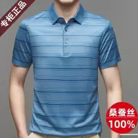 2024夏季专柜品牌正品大码短袖t恤男中老年条纹桑蚕丝POLO衫爸爸装