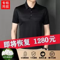 正品夏季新款桑蚕丝短袖T恤男中年休闲冰丝翻领POLO衫