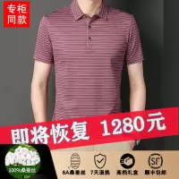 专柜产夏季新款冰桑蚕丝短袖T恤男士商务休闲翻领POLO衫