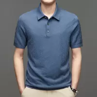 桑蚕丝男翻领冰丝棉短袖t恤2024夏季商务休闲男装针织半袖polo衫