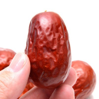 新疆特产和田骏枣 休闲食品 500g/袋免洗干货