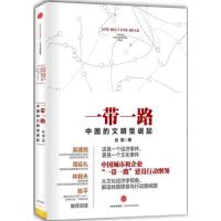 读品悟一带一路 中国的文明型崛起 赵磊 著 从文化经济学视角,解读丝路愿景与行动路线图 社会科学经济书籍