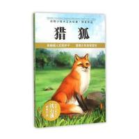 读品悟动物小说大王沈石溪获奖作品:猎狐