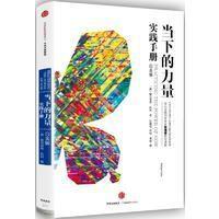 读品悟当下的力量实践手册（白金版）