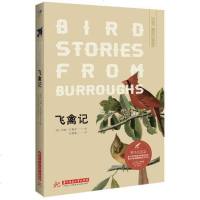 读品悟飞禽记(博物图鉴版)