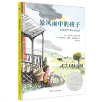 读品悟预售 [奇想国]暴风雨中的孩子 夏洛特 佐罗托 著 3-6-8-10岁儿童绘本图画书 幼儿童话文学早教启蒙小学