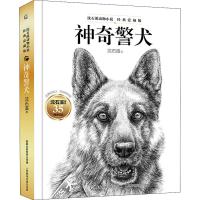 读品悟沈石溪动物小说 经典爱藏版 神奇警犬 儿童文学 中国儿童文学
