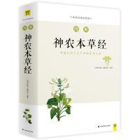 读品悟图解神农本草经(全方位完美呈现中药学源头之书,带你发现随处可见却从未在意的本草之美)