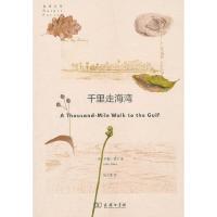 读品悟千里走海湾 约翰·缪尔 著 反思人类为中心的自然观、宇宙观 自然科学类科普读物 旅行记录