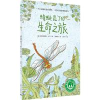 读品悟蜻蜓昆丁的生命之旅