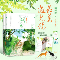 遇见你:插图珍藏版(暖萌青春代言人顾西爵口碑之作,校园文白月光。全文精心修订,新增万字番外)