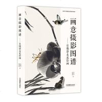 读品悟画意摄影图谱