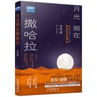 读品悟月光照在撒哈拉（限量签名本）