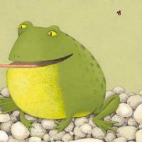 读品悟[新书预售]动物认知猜猜书全3册 这是谁 少儿 0-3-6岁 贴合幼儿心智发育水平的认知,潜移默化提高观察力和