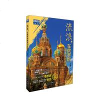 读品悟流浪 在俄罗斯的风景里
