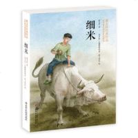 读品悟细米 曹文轩作品系列 插图版 曹文轩纯美小说 6-7-8-9-12岁课外阅读绘本 课外阅读书籍班主任推荐 儿童