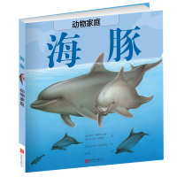 动物家庭:海豚