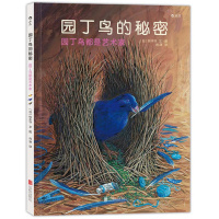园丁鸟的秘密:日本著名绘本作家铃木守最作,揭开园丁鸟的奇妙建筑之谜