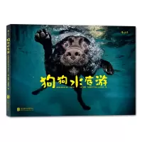 狗狗水底游