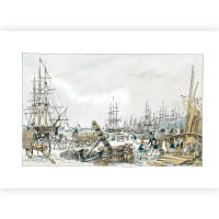 的巨人（软精装）博洛尼亚文学奖，国际安徒生插画奖提名作家代表作；一个渺小人类与九个梦想星星的巨人的故事，给儿童与青少