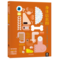 百科信息图-身体信息图