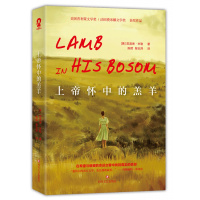 上帝怀中的羔羊:美国普利策文学奖、法国费米娜文学奖获奖作品