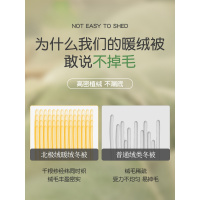 羊羔绒被子冬被棉被加厚保暖双面绒秋冬被芯宿舍单人学生四季通用