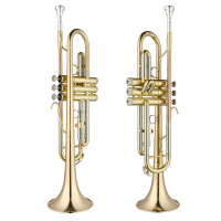 津宝专业小号乐器初学者演奏级儿童成人教会降B调漆金JBTR-020