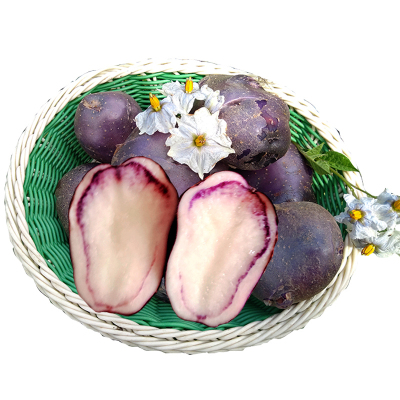 绿源 云南高山紫土豆 新鲜乌洋芋 精选紫皮含花青素乌土豆带箱10斤特产
