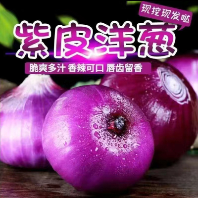 云南紫皮洋葱 大洋葱 新鲜采摘蔬菜 香辣适口 9斤 陈小四水果