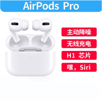 苹果(Apple) 2019新款 AirPods Pro海外版无线苹果蓝牙耳机 白色 AirPods Pro(无线充电)