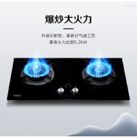 万家乐灶具JZT-V5S(B) 万家系列“焱”双高火简约外观防霉纳米涂层面板防干烧