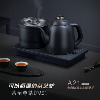 宜龙茶炉 A21磨砂黑双炉