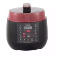 格兰仕压力锅YB5012