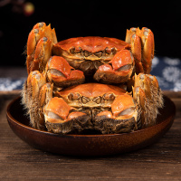 金沐运澄大闸蟹 全公蟹5.0两 8只 礼盒装 螃蟹鲜活