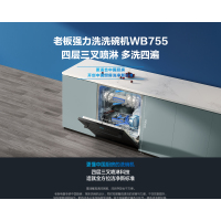 老板洗碗机WQP12-WB755