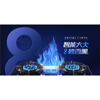 老板嵌入式燃气灶 JZ(Y/T)-9B315