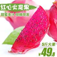 海南红心火龙果5斤 新鲜热带水果大果红肉火龙果应季整箱批发包邮