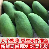 越南大青芒果整箱10斤金煌芒青皮大芒果新鲜热带水果包邮非凯特芒