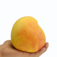 【农场现摘】海南三亚苹果芒新鲜芒果澳芒凯特包邮当季水果10斤