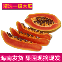 【农场现摘】海南三亚木瓜新鲜水果 红心木瓜牛奶木瓜5斤