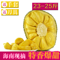 【农场现摘现发】海南菠萝蜜新鲜水果23-25斤