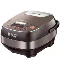 九阳IH电磁电饭煲F-30T12