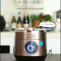 九阳电压力煲Y-50K5